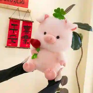 25cm40cm50cm