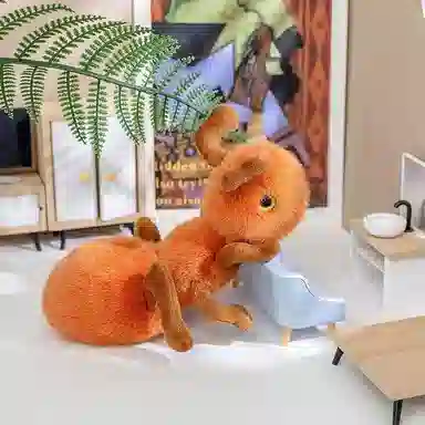 20cm