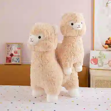 35cm45cm55cm