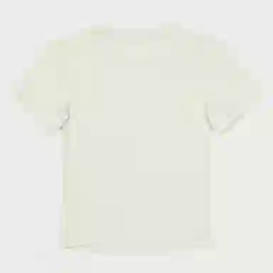 SMFK Compass Wave T