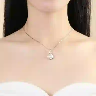 ins s925