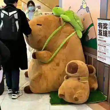 25cm35cm45cm70cm100cm