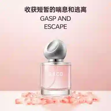 SACO EDP