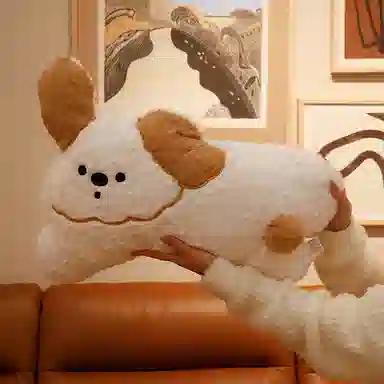 3 50cm