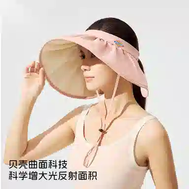 Dickies Sun Visor Hat