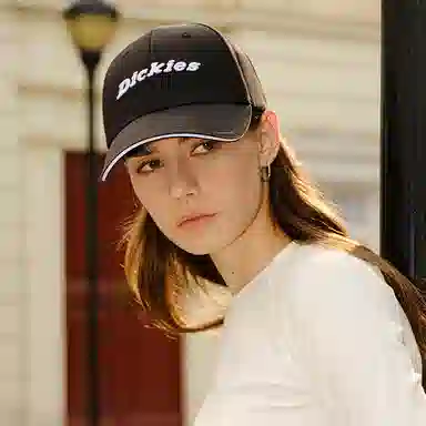 Dickies Logo