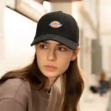 Dickies logo