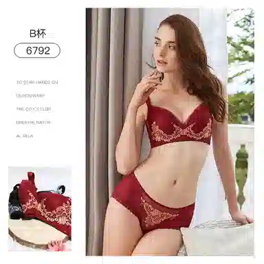 夏娃之秀 透气蕾丝舒适聚拢透气文胸 女款 礼盒装