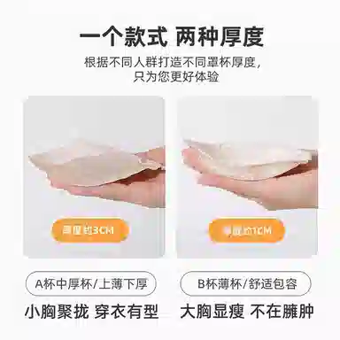 夏娃之秀 透气蕾丝舒适聚拢透气文胸 女款 礼盒装