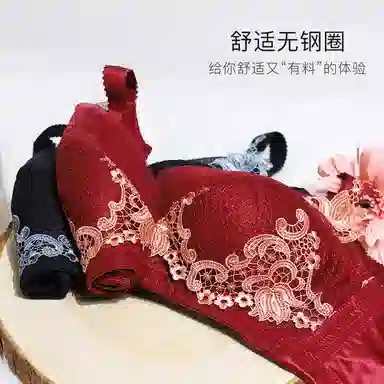 夏娃之秀 透气蕾丝舒适聚拢透气文胸 女款 礼盒装