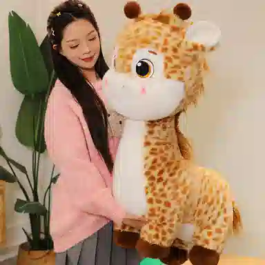 AZLCL 35cm50cm65cm80cm