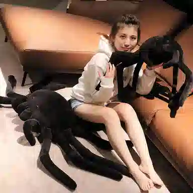 AZLCL 20cm25cm50cm80cm