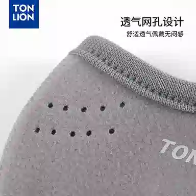 tonlion