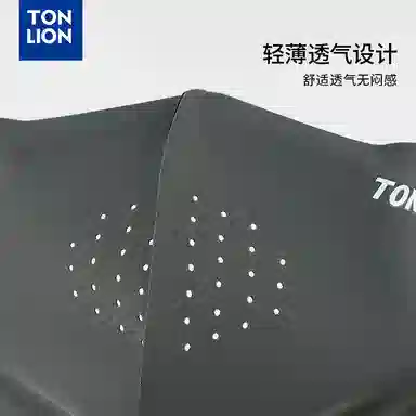 tonlion