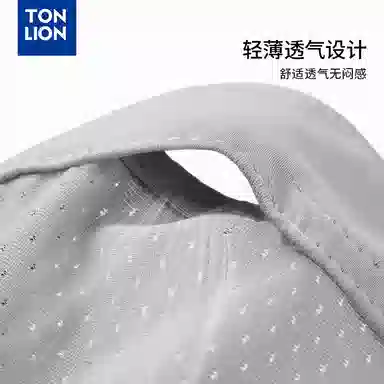 tonlion