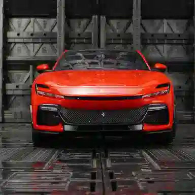 BABYS 1ST Purosangue