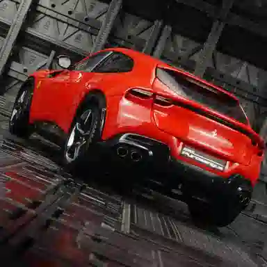 BABYS 1ST Purosangue