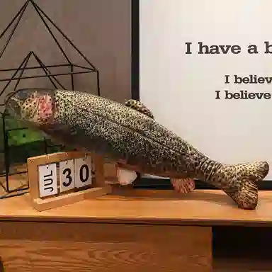 LEWAHON 40cm60cm80cm100cm