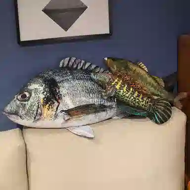 LEWAHON 40cm60cm80cm100cm