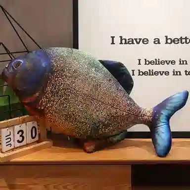 LEWAHON 40cm60cm80cm100cm