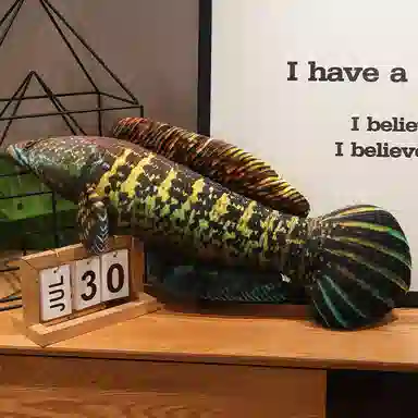 LEWAHON 40cm60cm80cm100cm