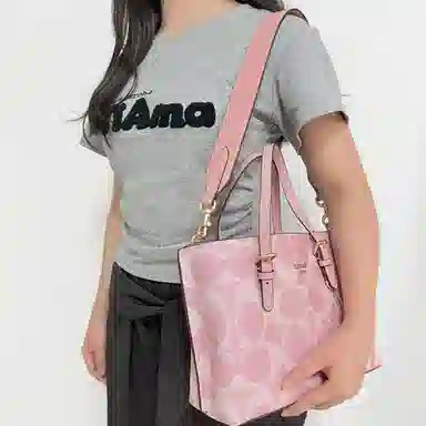 COACH Mollie 25 Tote