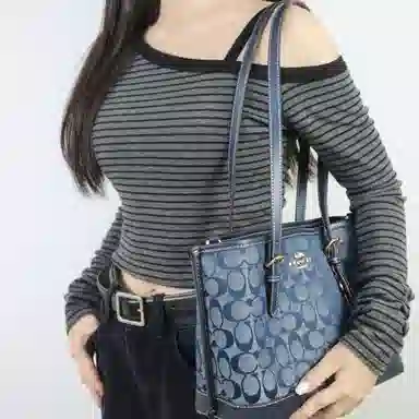 COACH Mollie 25 Tote