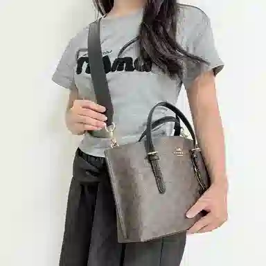 COACH Mollie 25 Tote