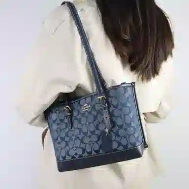 COACH Mollie 25 Tote