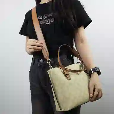 COACH Mollie 25 Tote