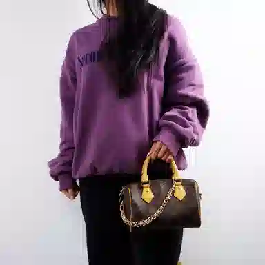 LOUIS VUITTON Speedy 20 diy