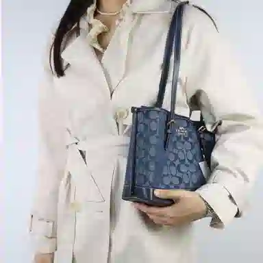 COACH Mollie 25 Tote