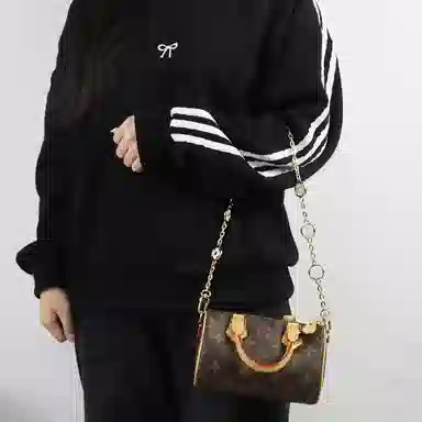 Louis Vuitton Speedy Nano