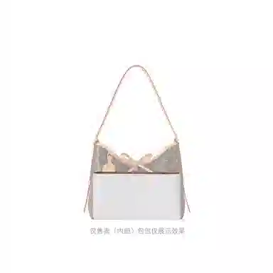 lvcarryalllv bao