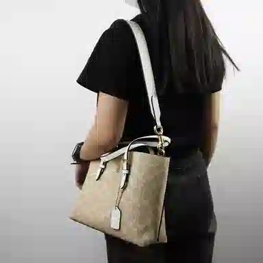 COACH Mollie 25 Tote