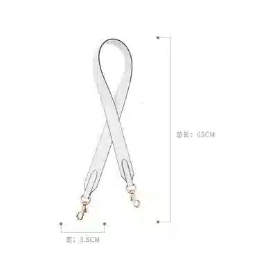 COACH Mollie 25 Tote