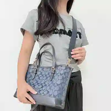 COACH Mollie 25 Tote