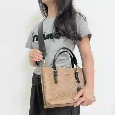 COACH Mollie 25 Tote
