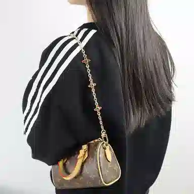 Louis Vuitton Speedy Nano