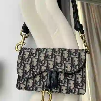 DIOR Saddle Oblique diy