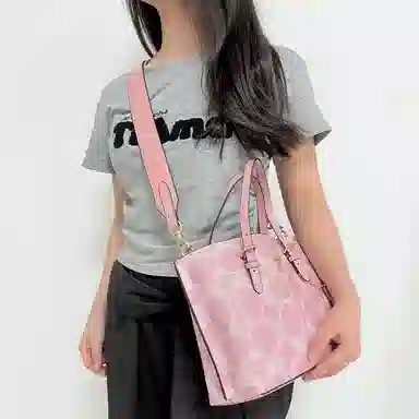 COACH Mollie 25 Tote