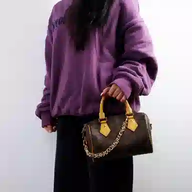 LOUIS VUITTON Speedy 20 diy