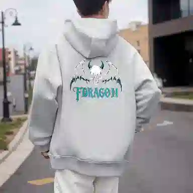 fdragon ins