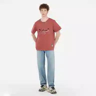 fdragon T