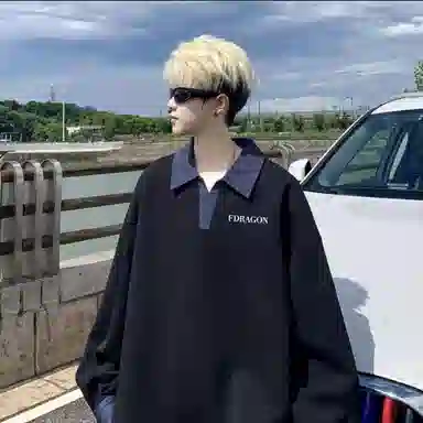 fdragon logopolo
