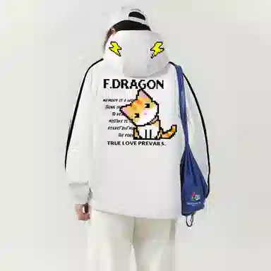 fdragon logo