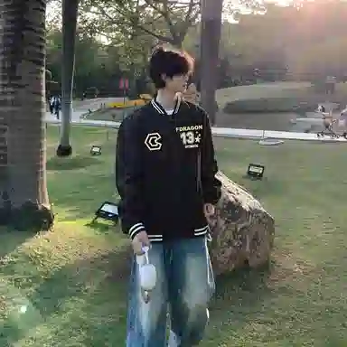 fdragon ins