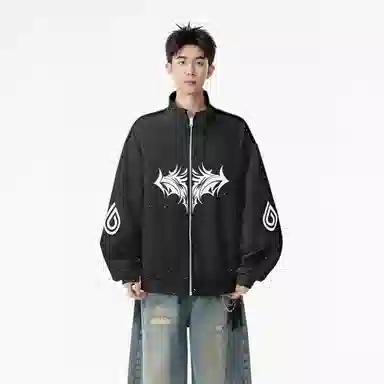 fdragon ins