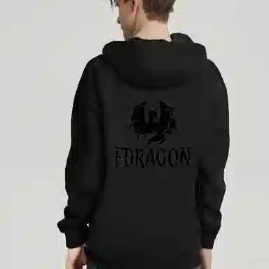 fdragon ins
