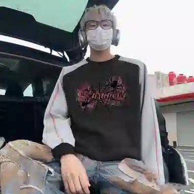 fdragon ins